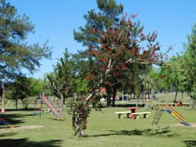 juegos para niños de las termas de almiron